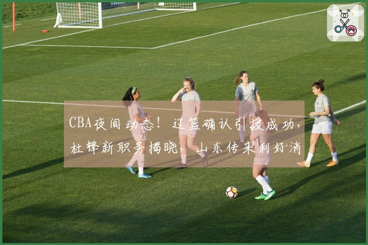 CBA夜间动态！辽篮确认引援成功，杜锋新职务揭晓，山东传来利好消息