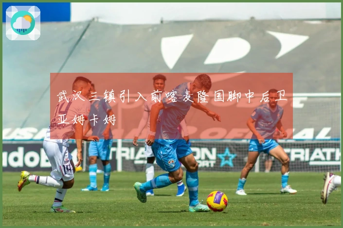 武汉三镇引入前喀麦隆国脚中后卫亚姆卡姆