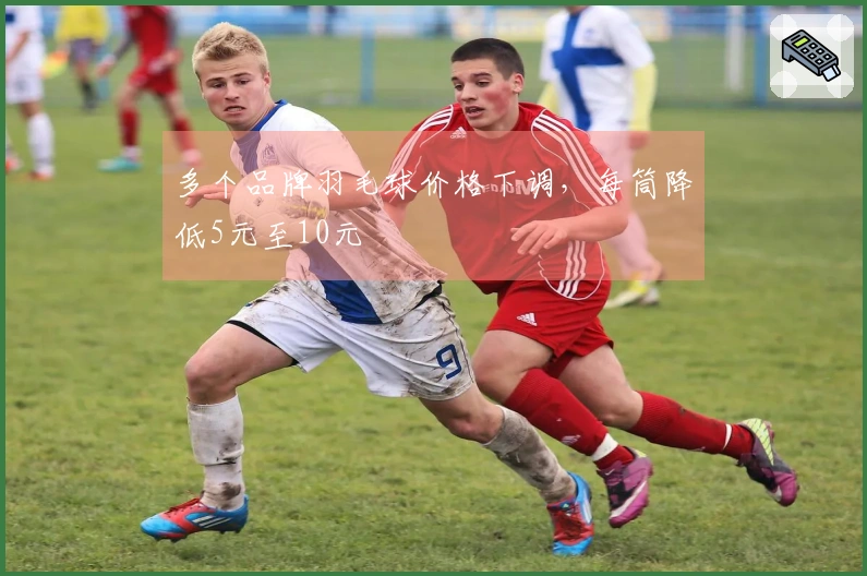 多个品牌羽毛球价格下调，每筒降低5元至10元