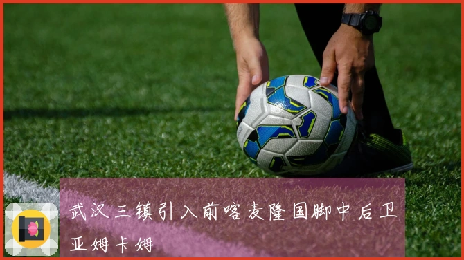 武汉三镇引入前喀麦隆国脚中后卫亚姆卡姆