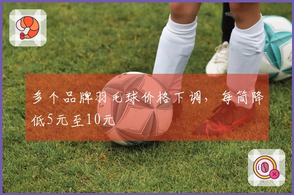 多个品牌羽毛球价格下调，每筒降低5元至10元