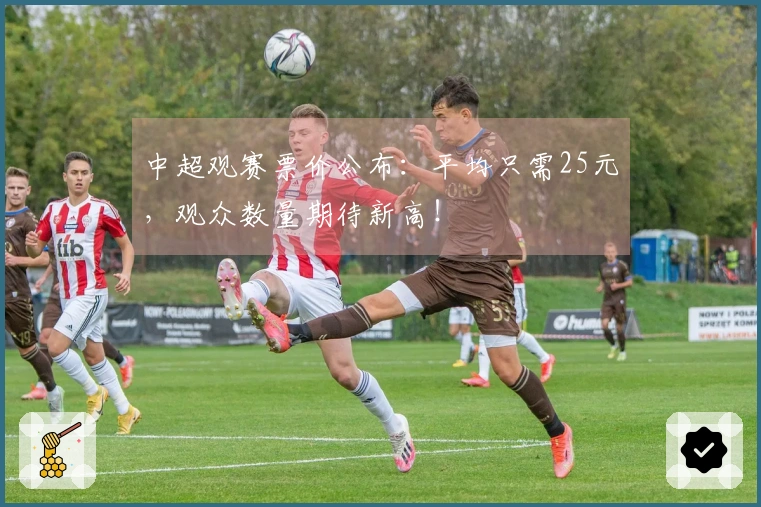 中超观赛票价公布：平均只需25元，观众数量期待新高！